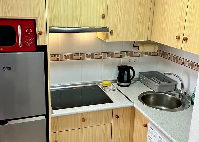 Sol Y Calma 公寓 托雷维耶哈